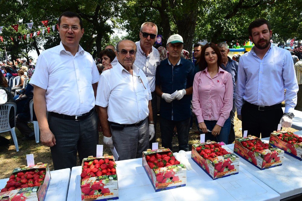 Orhangazi’de çilek festivali coşkusu