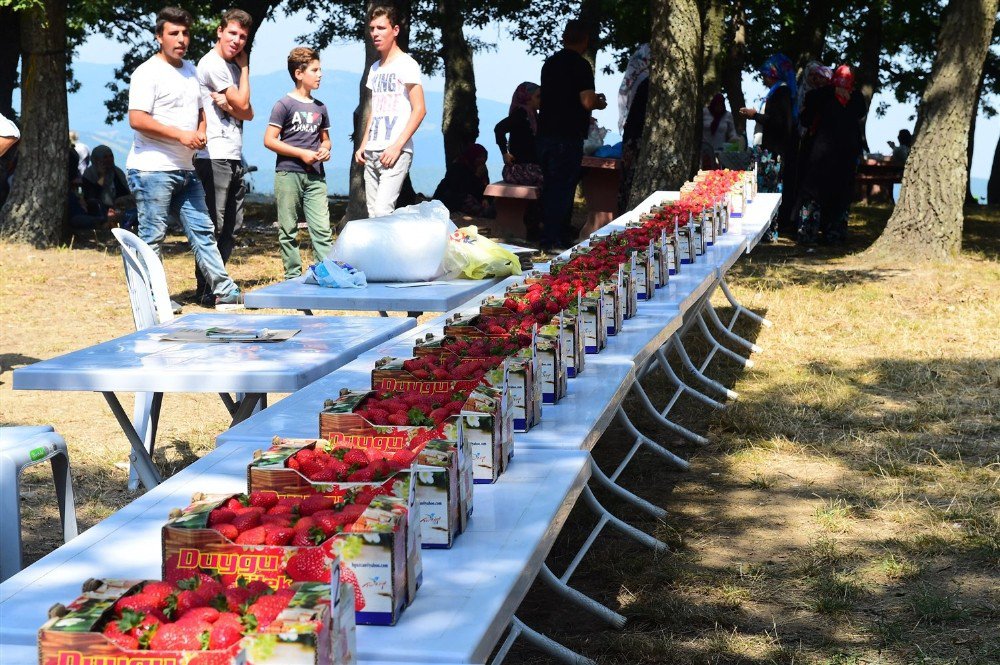 Orhangazi’de çilek festivali coşkusu