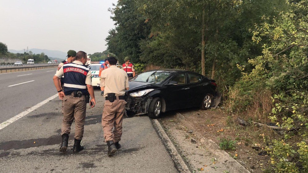 Yoldan çıkan otomobil erik ağacına çarptı