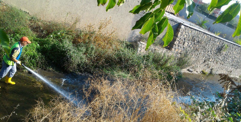 Bilecik Belediyesi’nden Dalakdere’de kapsamlı temizlik çalışması