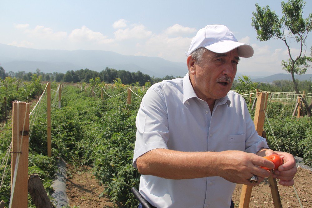 Başkan Yılmaz: “Adana’dan daha verimliyiz”