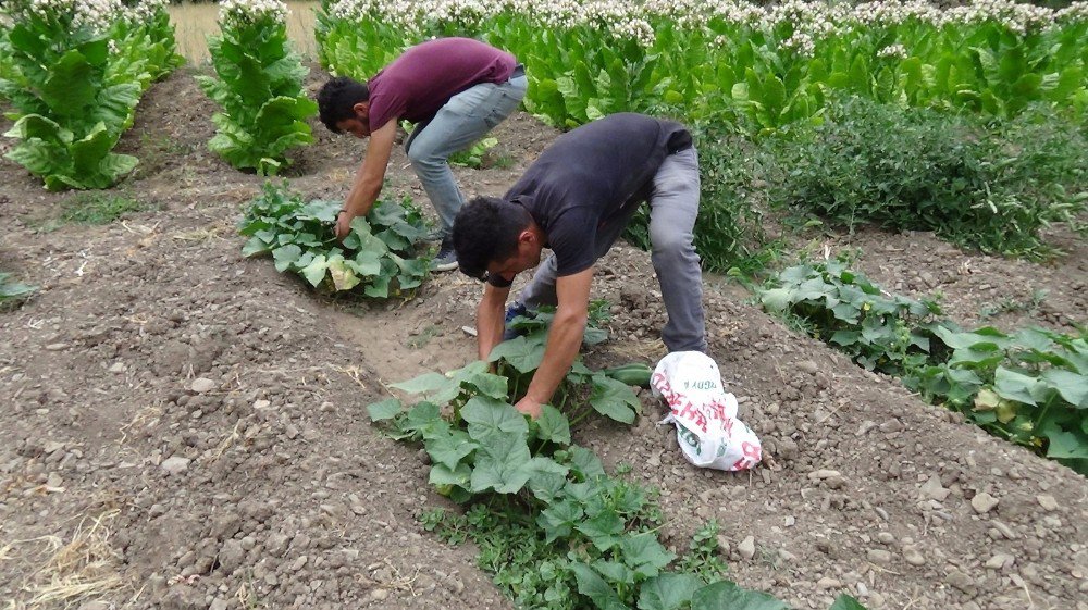 34 yıldır bekledikleri köprü bir yıl dayanabildi