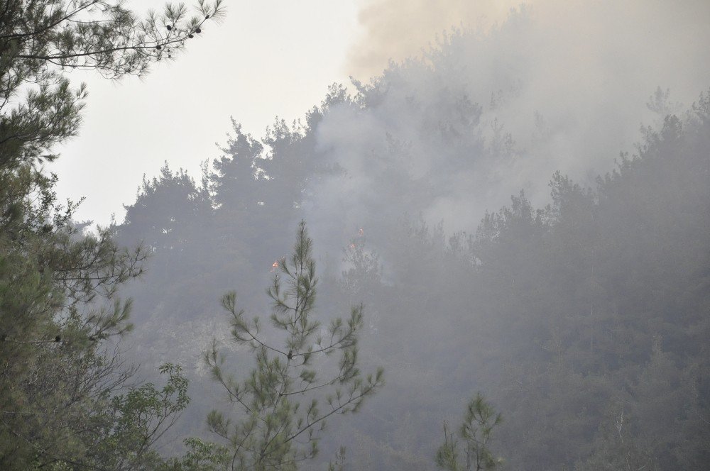 Hatay’da orman yangını