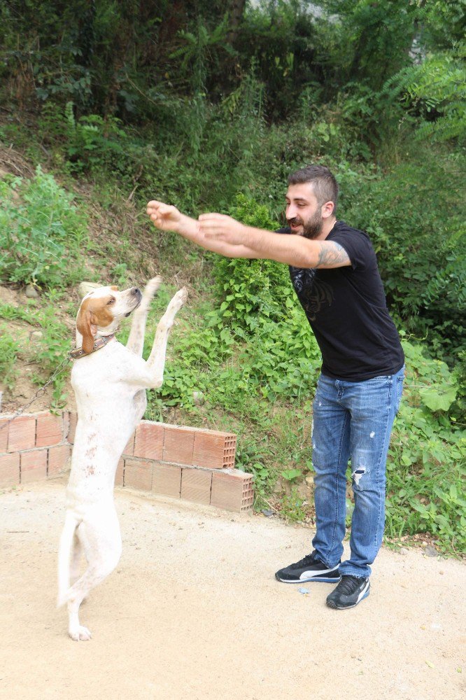 Trabzon’da sahibiyle müzik eşliğinde kolbastı oynayan köpek şaşırtıyor