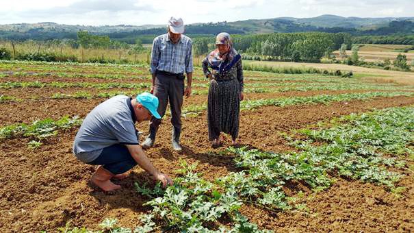 Büyükşehir’den çiftçiye tohum desteği