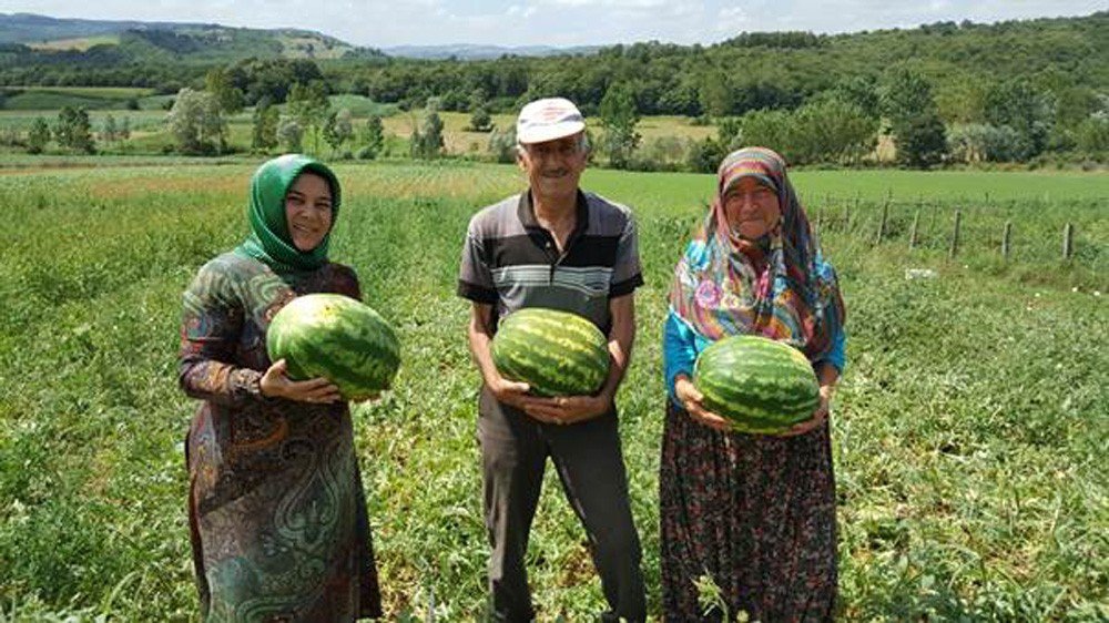 Büyükşehir’den çiftçiye tohum desteği