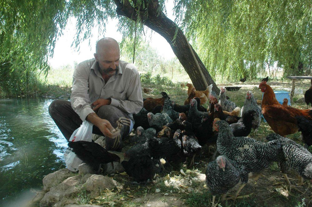 İhbar ettiği uyuşturucu bağımlısı oğluna verilen cezayla şok oldu