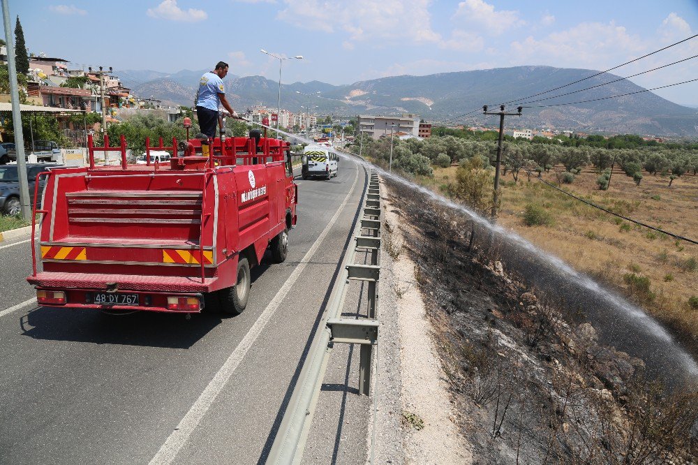 Milas’ta yangın elektrik tellerine zarar verdi