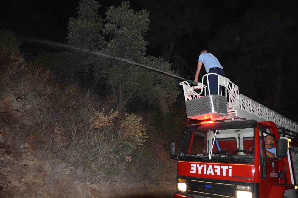 Ortaca’da orman yangını