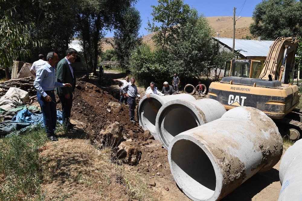 Başkan Asya, yürütülen çalışmaları denetledi