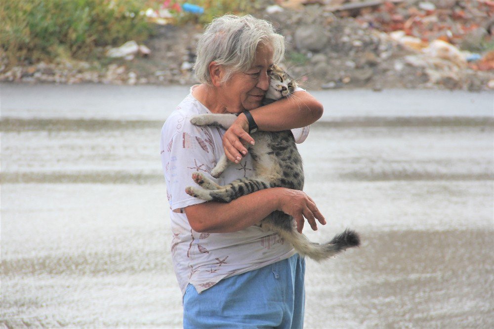 Hurdacı kadının hayvan sevgisi