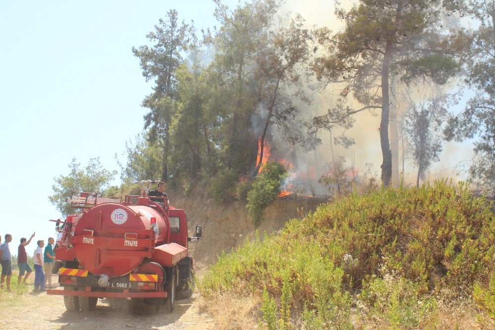 Manavgat’ta orman yangını