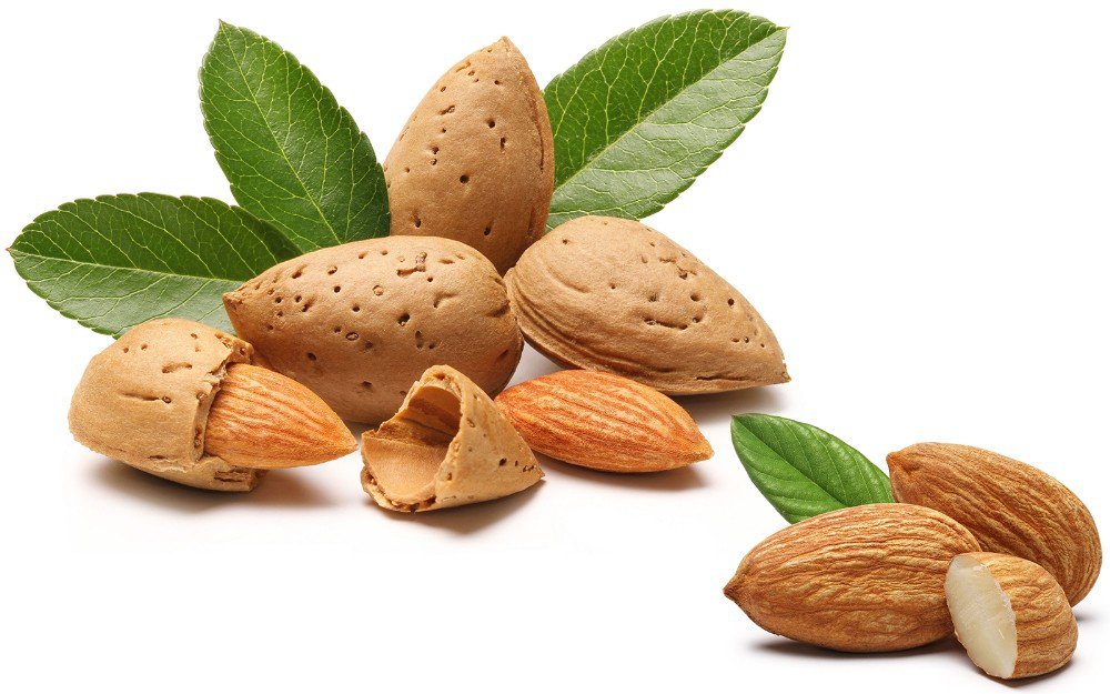 Kabuklu kuruyemiş kilo düşürüyor