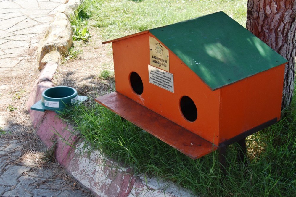 Yeni kedi evleri minik dostlarımızın hizmetinde