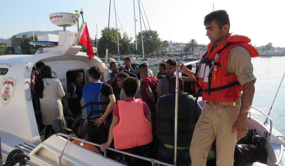 Ayvacık’ta 51 kaçak göçmen yakalandı