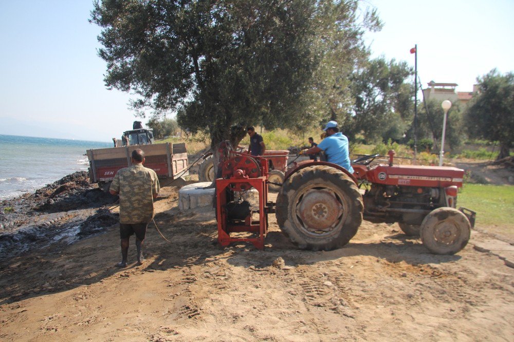 Burhaniye’de belediye deniz temizliğine aralıksız devam ediyor