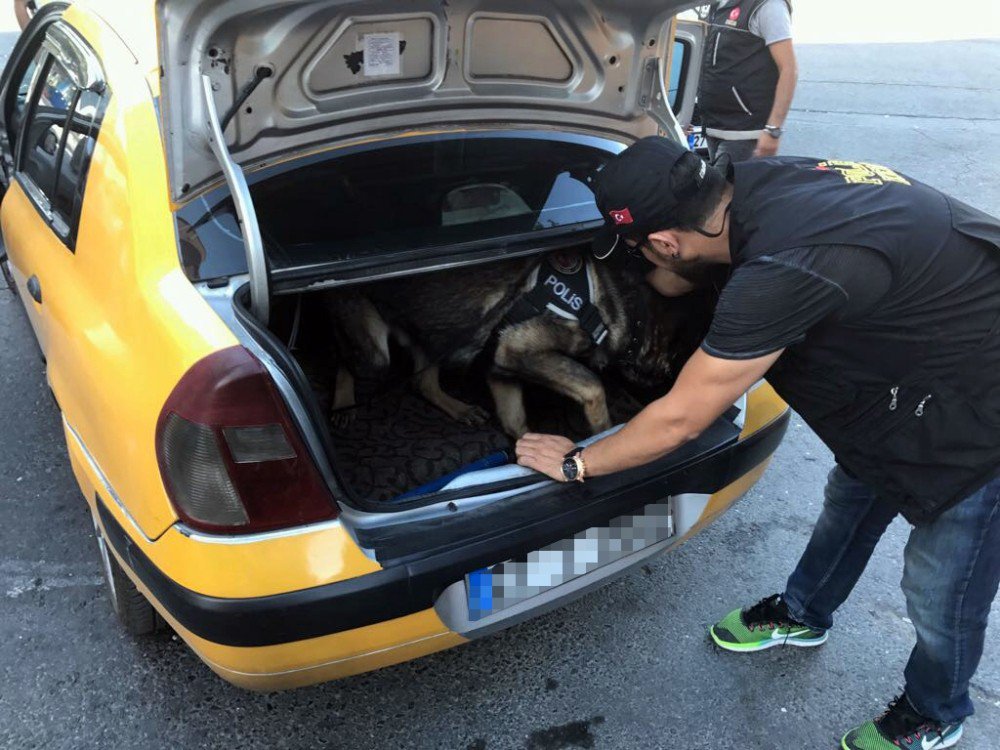 Uygulamalarda bir ayda 8 bin 781 kişi sorgulandı, 21 kişi gözaltına alındı