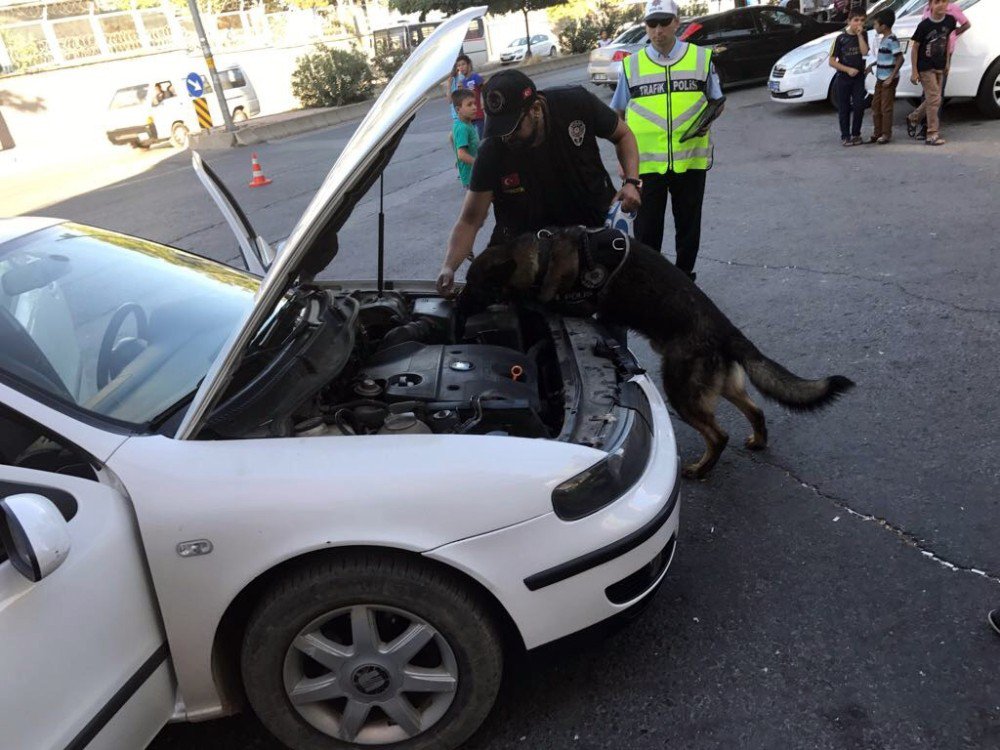 Uygulamalarda bir ayda 8 bin 781 kişi sorgulandı, 21 kişi gözaltına alındı