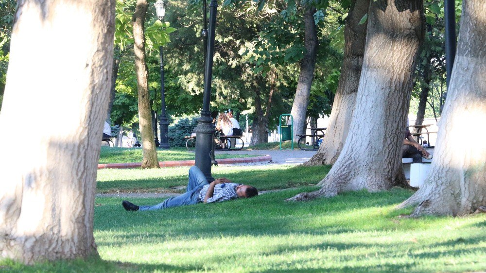 Kavurucu sıcak hayvanları da olumsuz etkiliyor