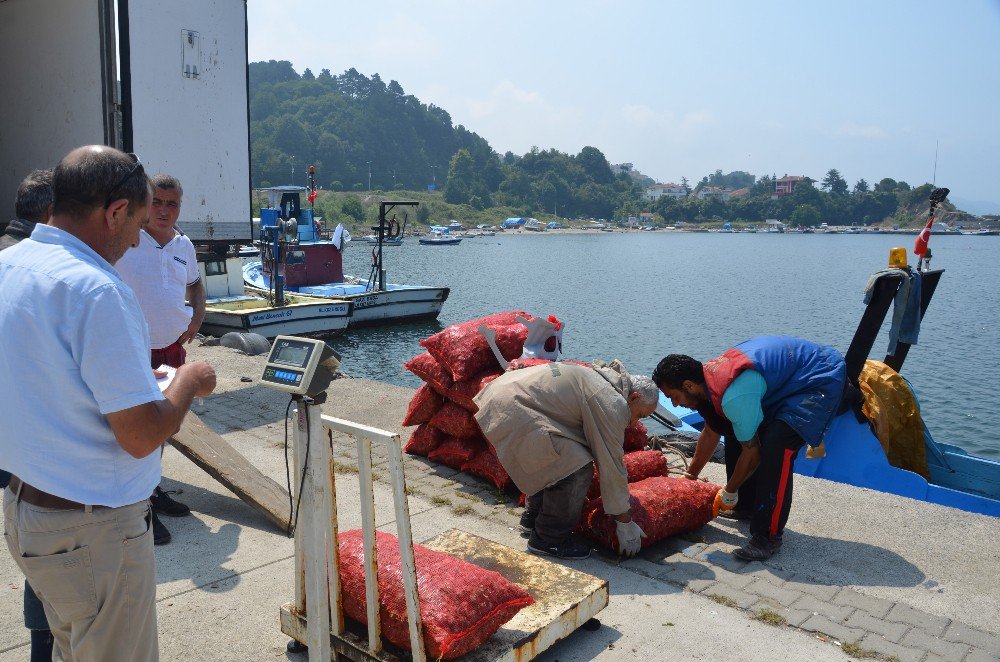 Karadeniz dibinden toplayıp Uzakdoğu’ya satıyorlar