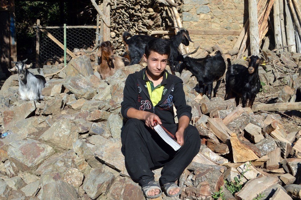 Adanalı çobanın TEOG zaferi