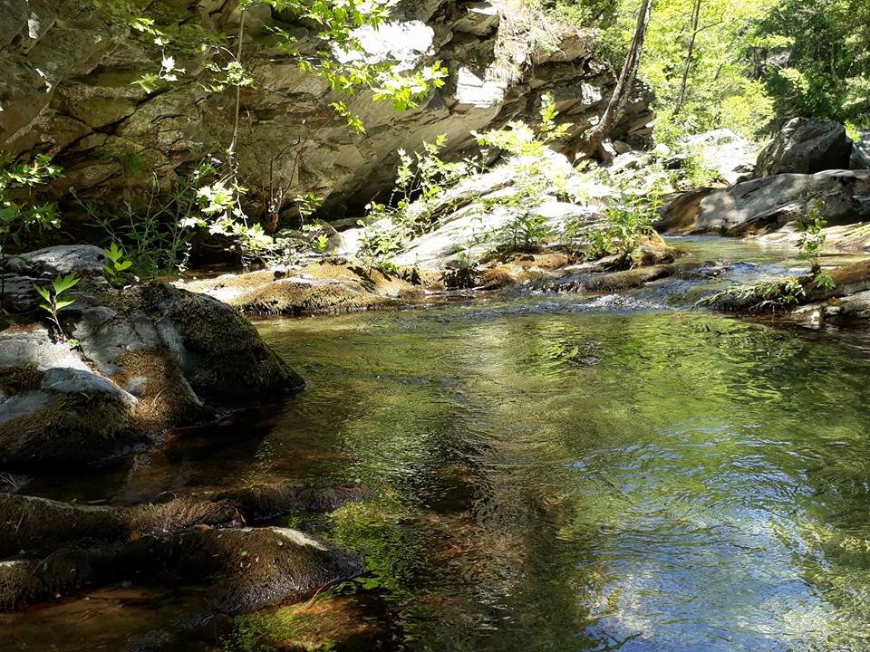 Kazdağı’na ziyaretçi akını