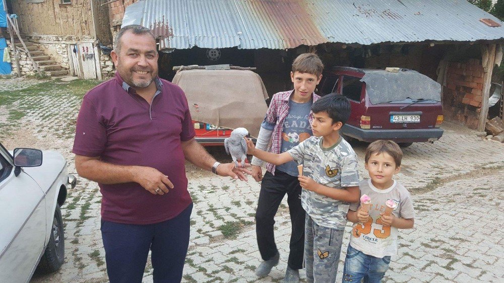 Köydeki papağan ilgi odağı oldu