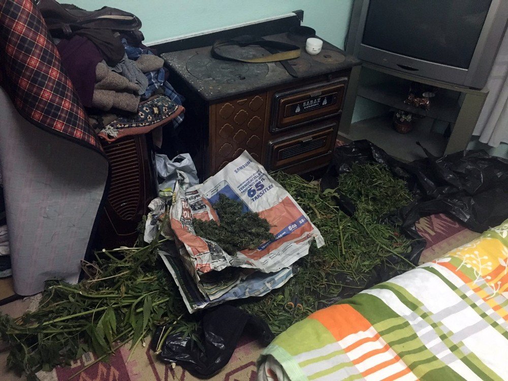 Polisten esrar operasyonu