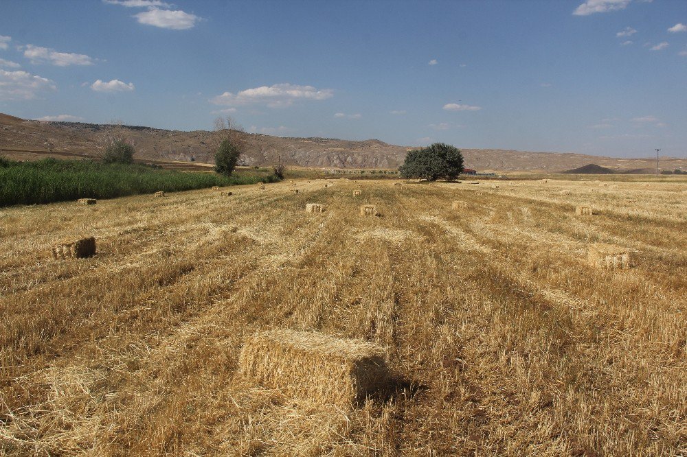 40 derece sıcağın altında ekmek mücadelesi