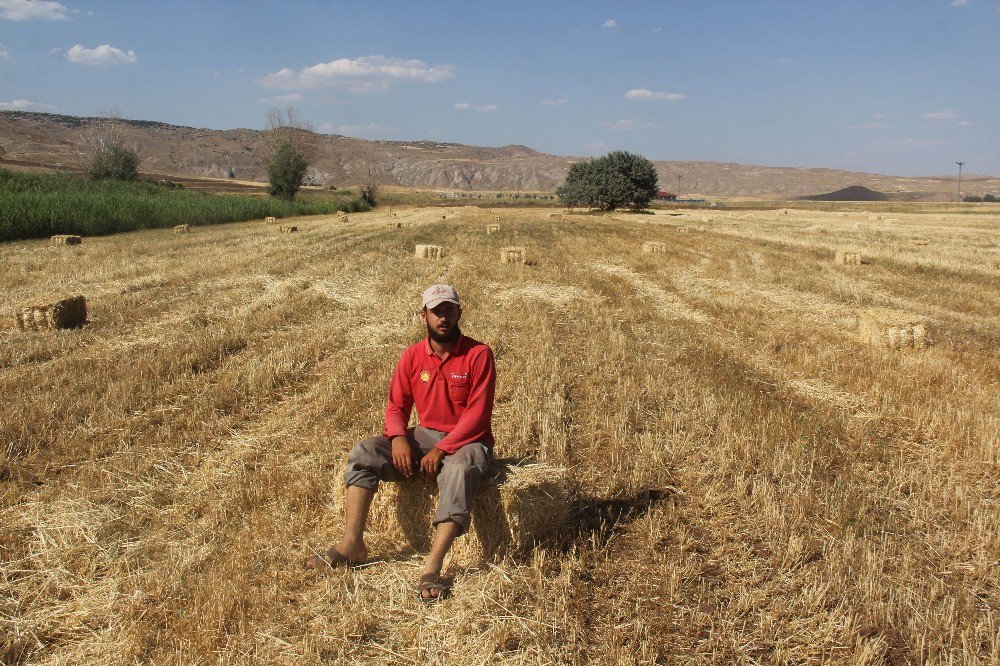 40 derece sıcağın altında ekmek mücadelesi