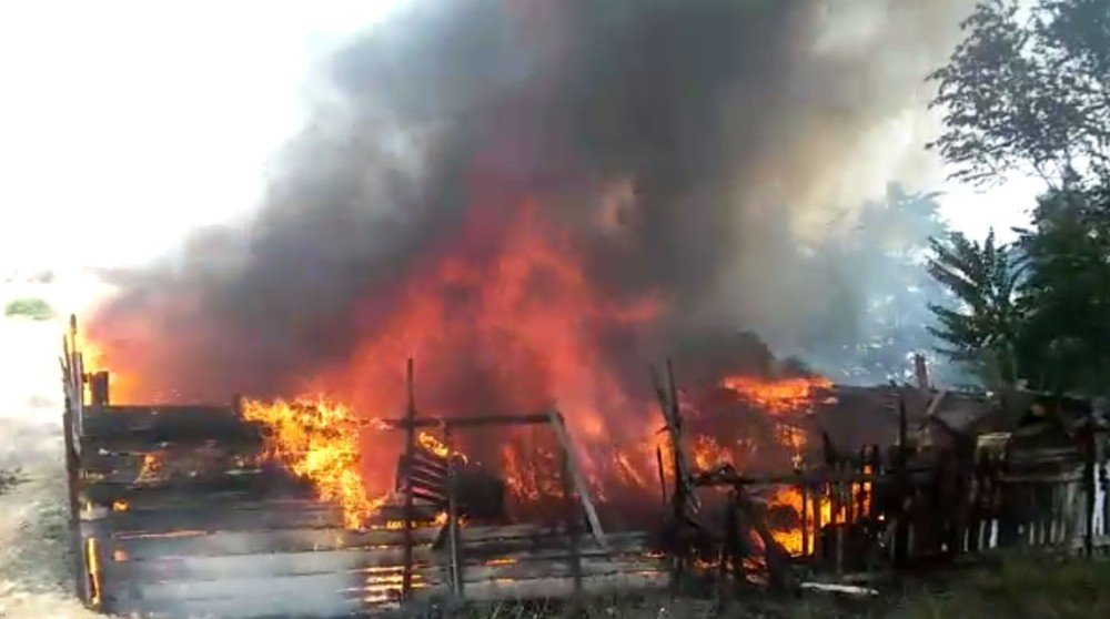 Anız yangını binlerce arıyı telef etti