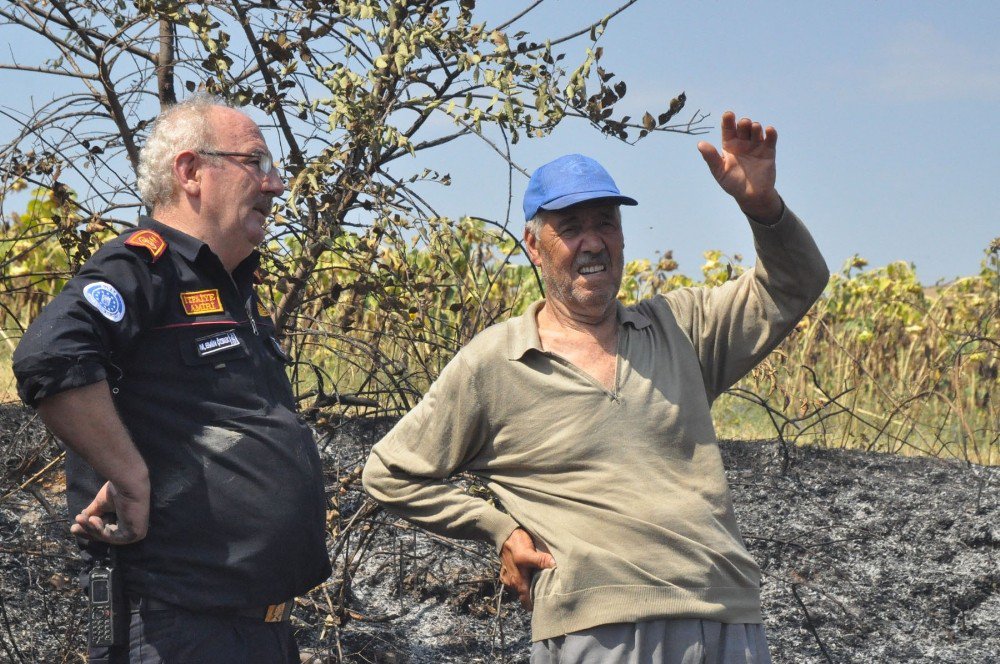 Anız yangını binlerce arıyı telef etti