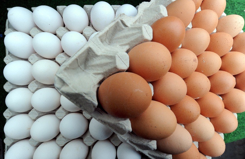 Belçika’dan Hollanda’ya yumurta suçlaması