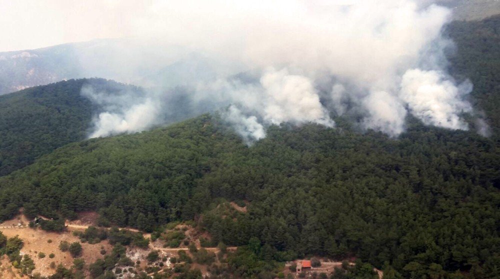 Kazdağları’nda sabotaj şüphesi