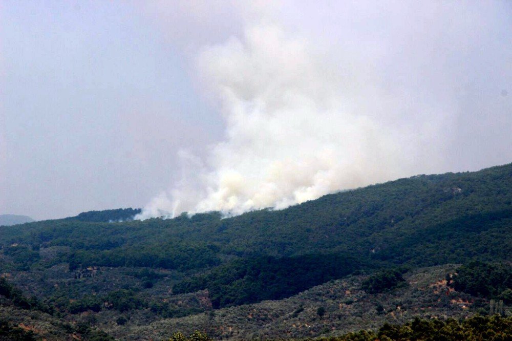 Kazdağları’nda orman yangını