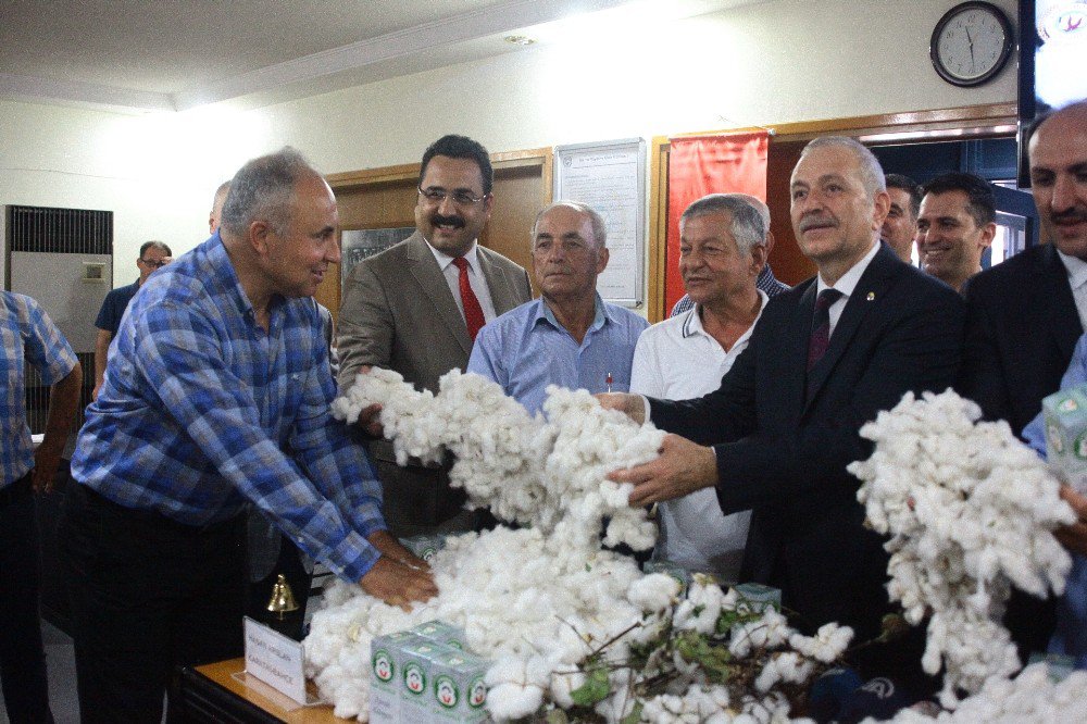 80 kilogram pamuk 40 bin liraya satıldı