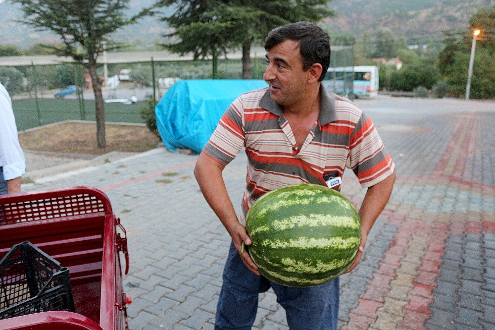 Diyarbakır’da değil Sarıcakaya’da yetiştirdi