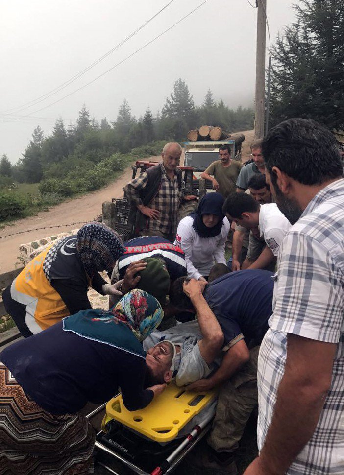 Tomruk yüklü traktör devrildi: 1 yaralı