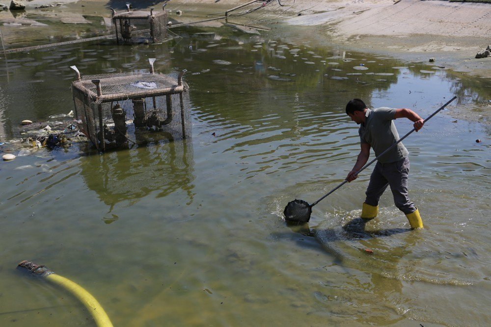 Edirne’de yenilenen gölette balık sürprizi
