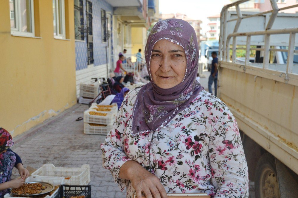 Kayısıda patik dönemi başladı