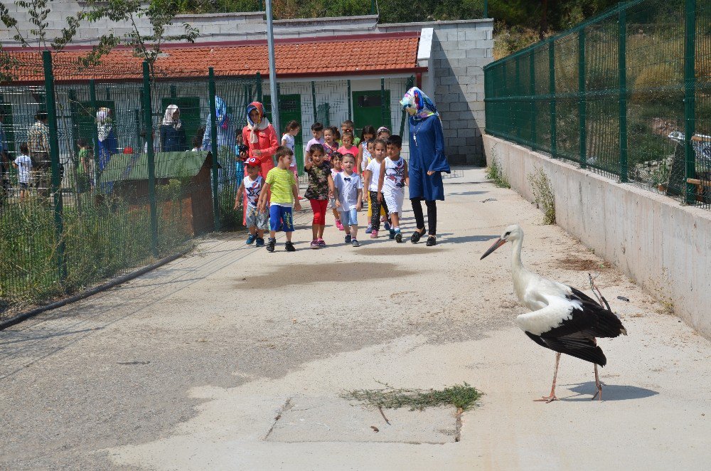 Miniklerden Sokak Hayvanları Tedavi ve Rehabilitasyon Merkezine ziyaret