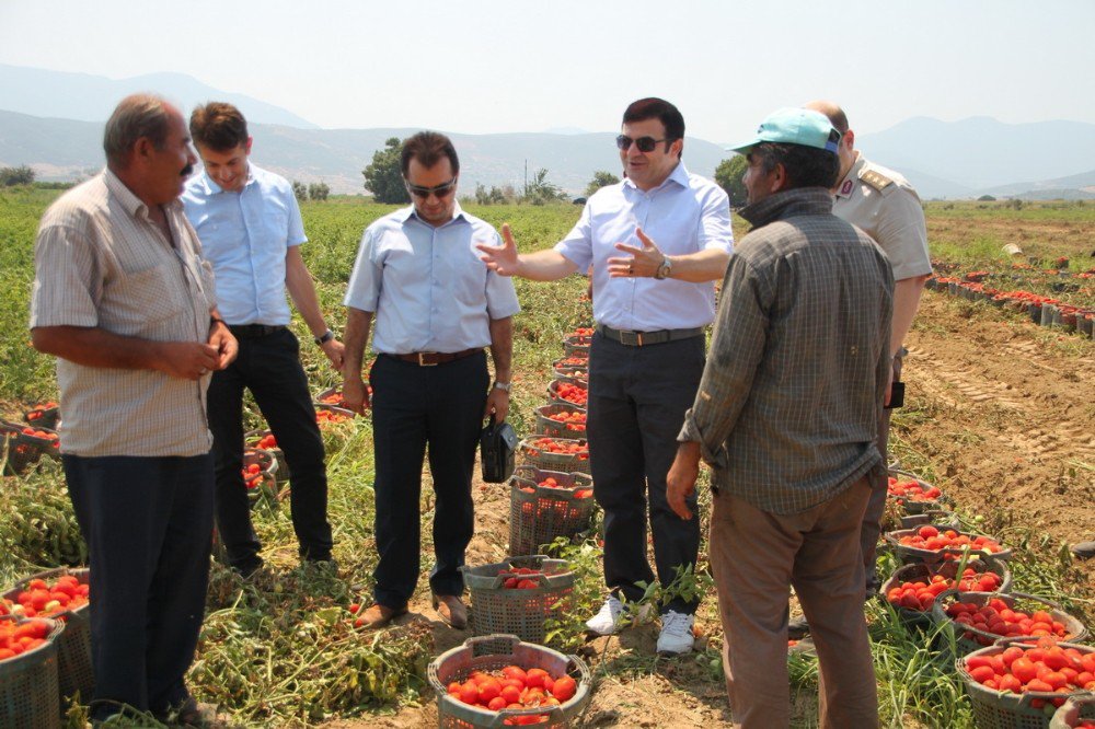 Kaymakam Tanrıseven, tarım işçilerinin sorunlarını dinledi