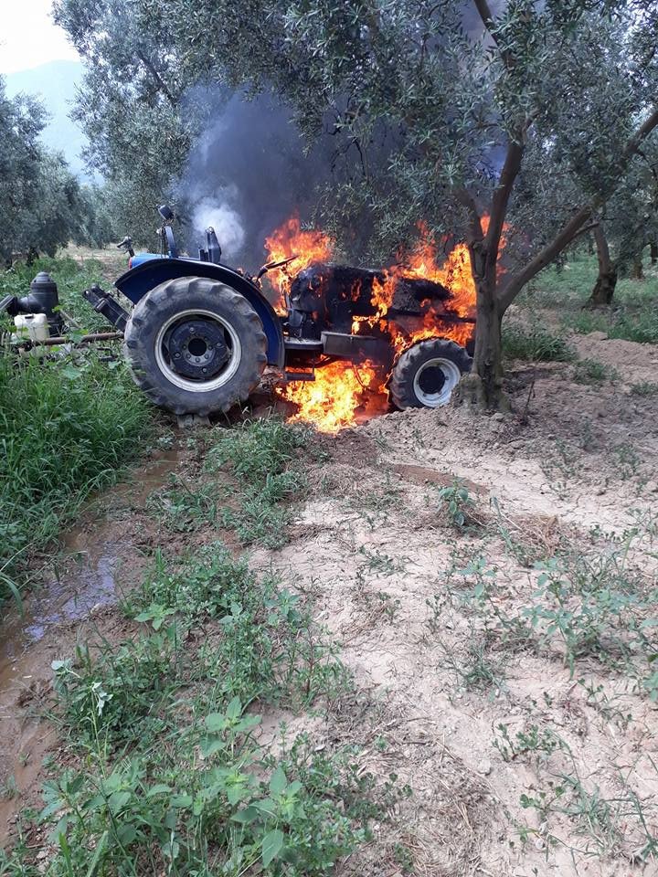 Zeytin sularken traktörü yandı