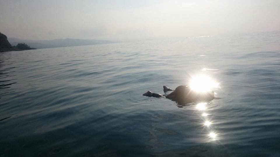 Giresun’da balık tutarken denize düşerek kaybolan kişinin cesedine ulaşıldı.