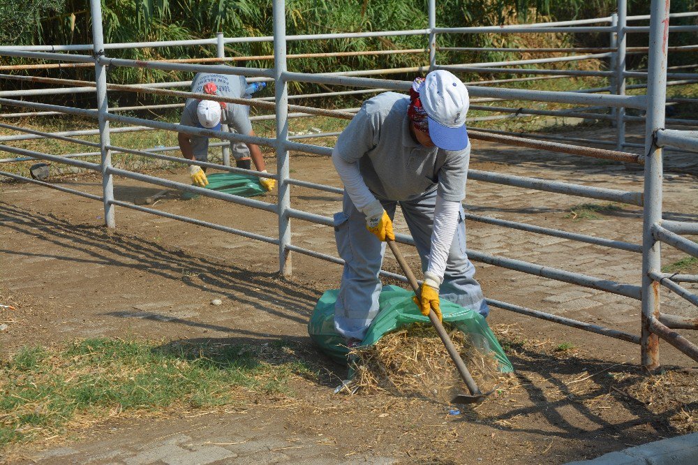 Kurban Bayramı Öncesi Söke’de Hayvan Pazarı Temizlendi