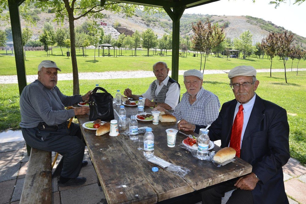 Sağlıklı yaşlılar piknikte buluştu