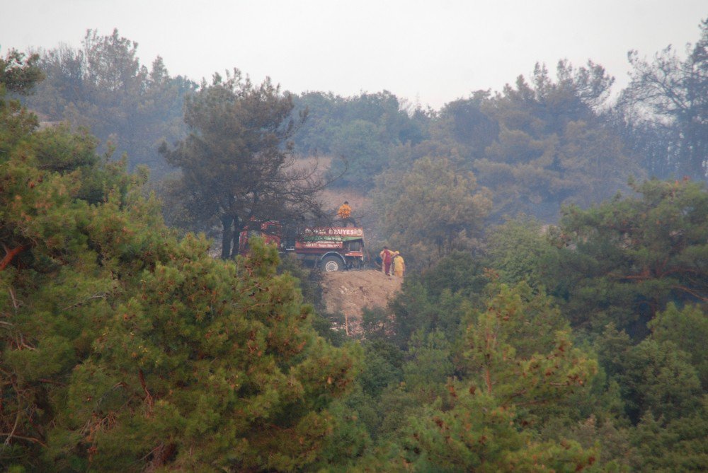 Keşan’daki orman yangını kontrol altına alındı