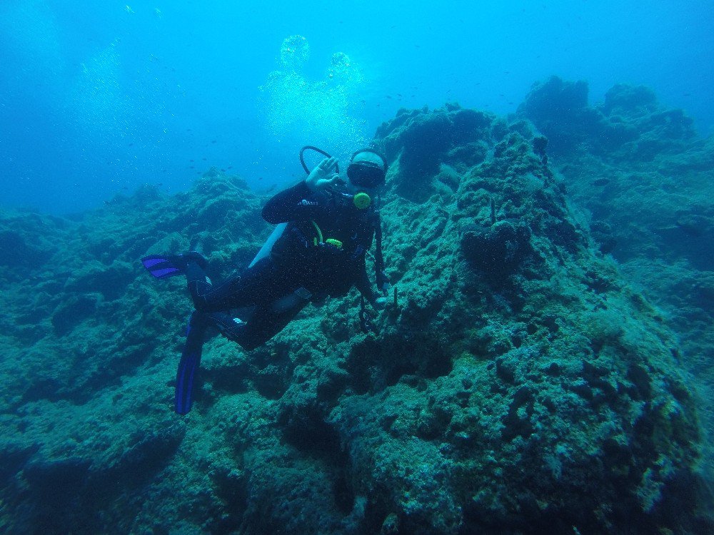 Bodrum Belediyesi dalış ekibi eğitimlerini sürdürüyor