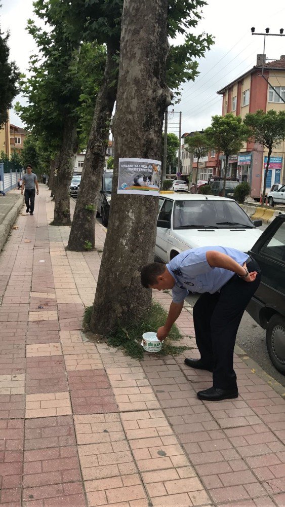 Kaynarca’da sokak hayvanları susuzluktan ölmeyecek