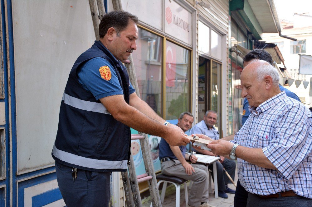 Yuvasından düşen yavru kumru için seferber oldular